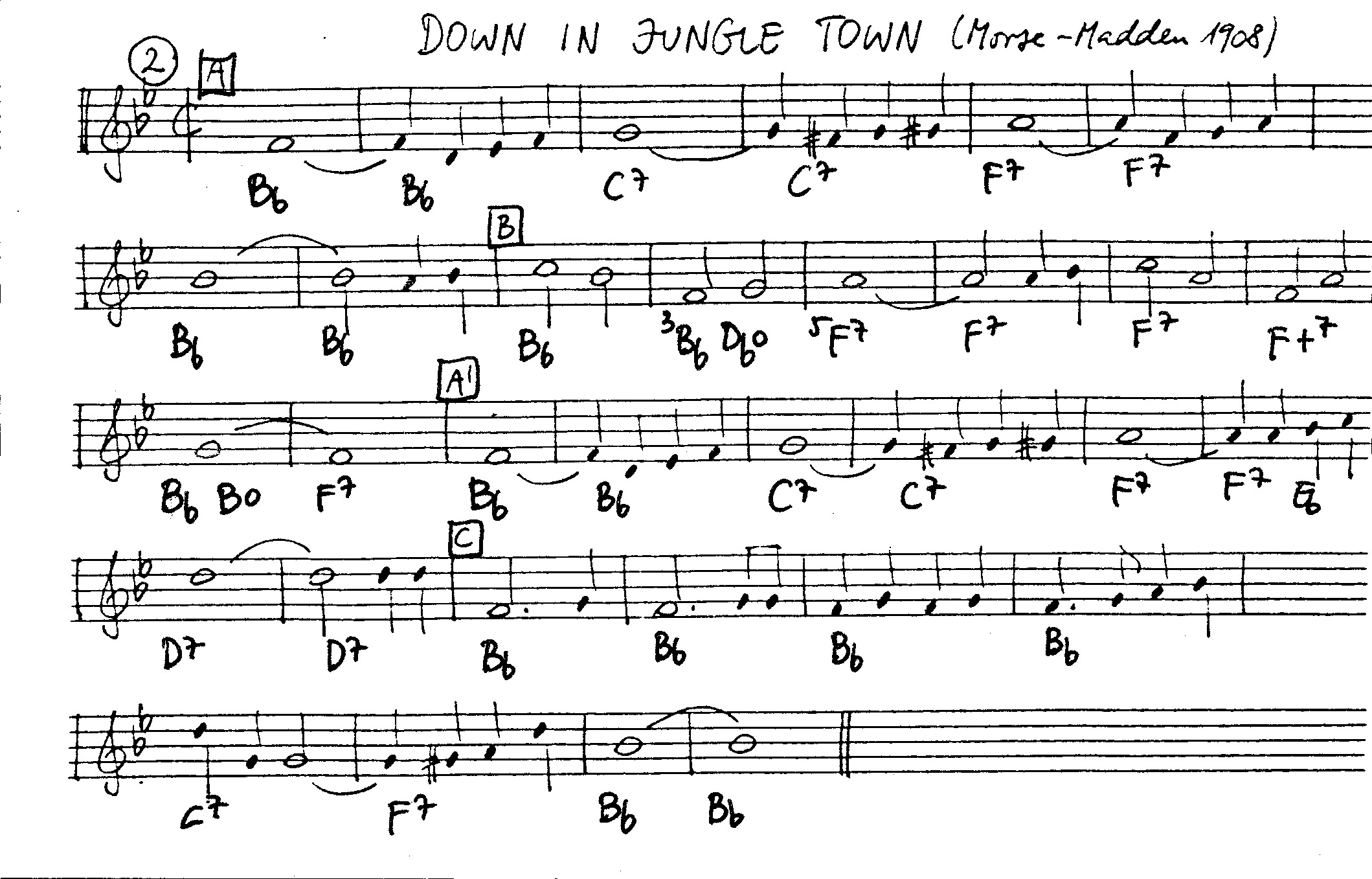 down in jungle town leadsheet – book us for your next 20s or gatsby event